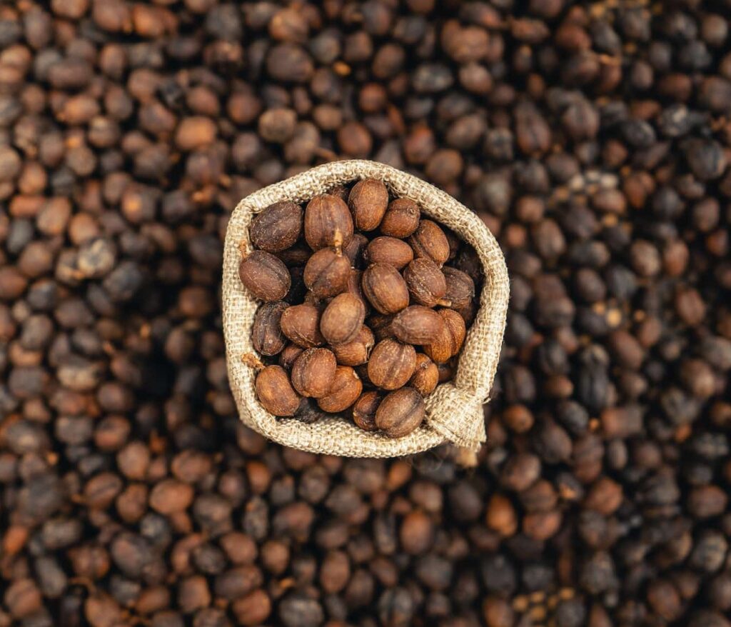 Coffee beans are dried in the greenhouse.